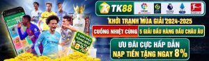 Tk88 với giao diện vô cùng đẹp mắt và chuyên nghiệp