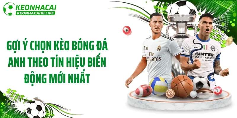 Gợi ý chọn kèo bóng đá Anh theo tín hiệu biến động mới nhất